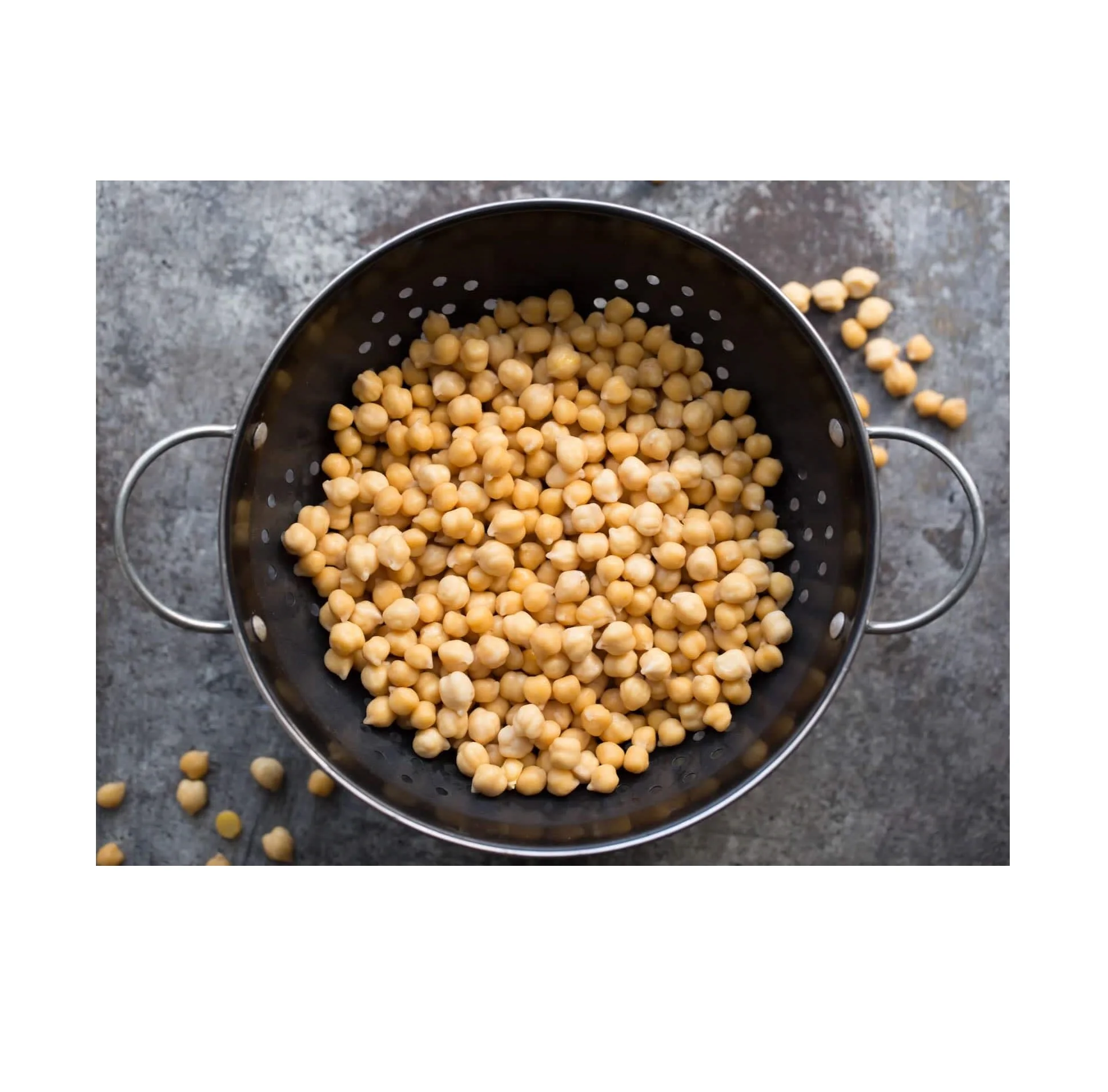 Wholesale Price Organic Dried Chickpeas Bulk Stock Available For Sale