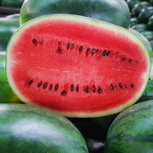 Красный Меллон заводская цена хорошее качество свежая арбуза от вьетнамского экспортера свежие овощи разумная цена готов к экспорту