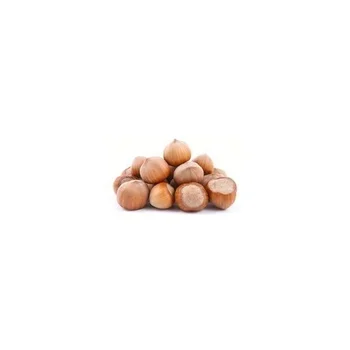 Hazelnut Roasted and Raw Hazelnuts (No Shell) with Factory Price Cobnut dry Hazelnuts for sale