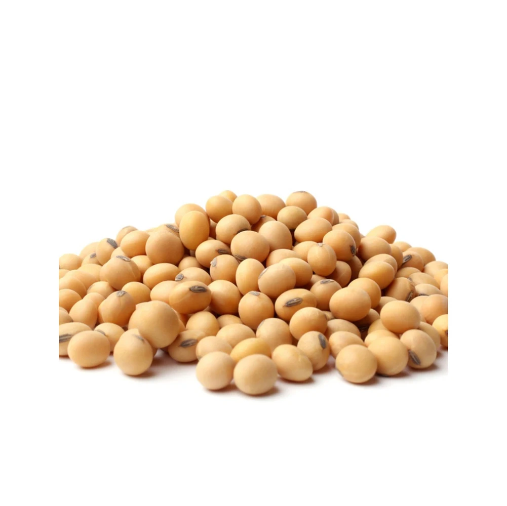 High Quality Based in USA GMO Wholesale Fresh SOYBEAN High Quality Ready to Ship