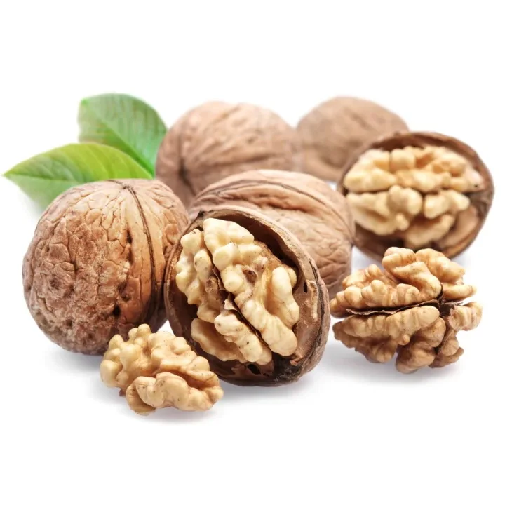 Wholesale Natural Organic Top Grade White Walnuts In Shell Bulk Raw Walnut Kernels Nuts & Kernels