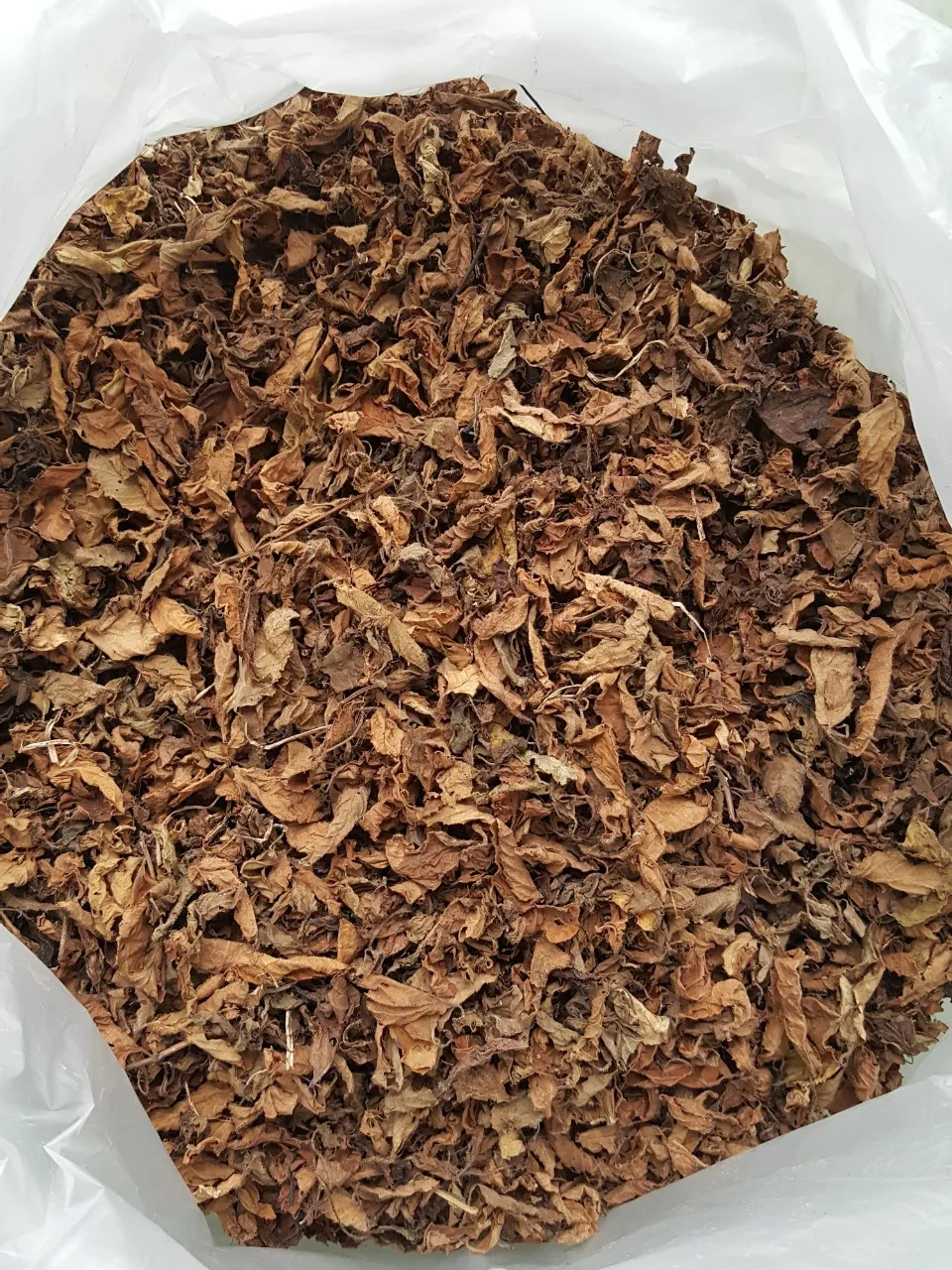 DRIED BLACK GRASS JELLY LEAF AND STICK VIETNAM EXPORTER WHOLESALER