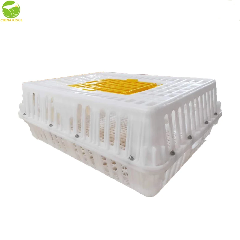 High quality poultry or chicken plastic transport cage