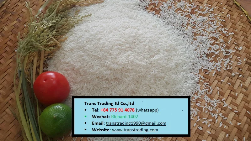 High Quality Best Price Manufacturer white rice wholesale Vietnamese Long Grain White Rice IR504 from Vietnam