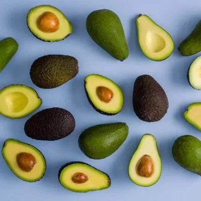 Wholesale Fresh Premium Avocado for sale