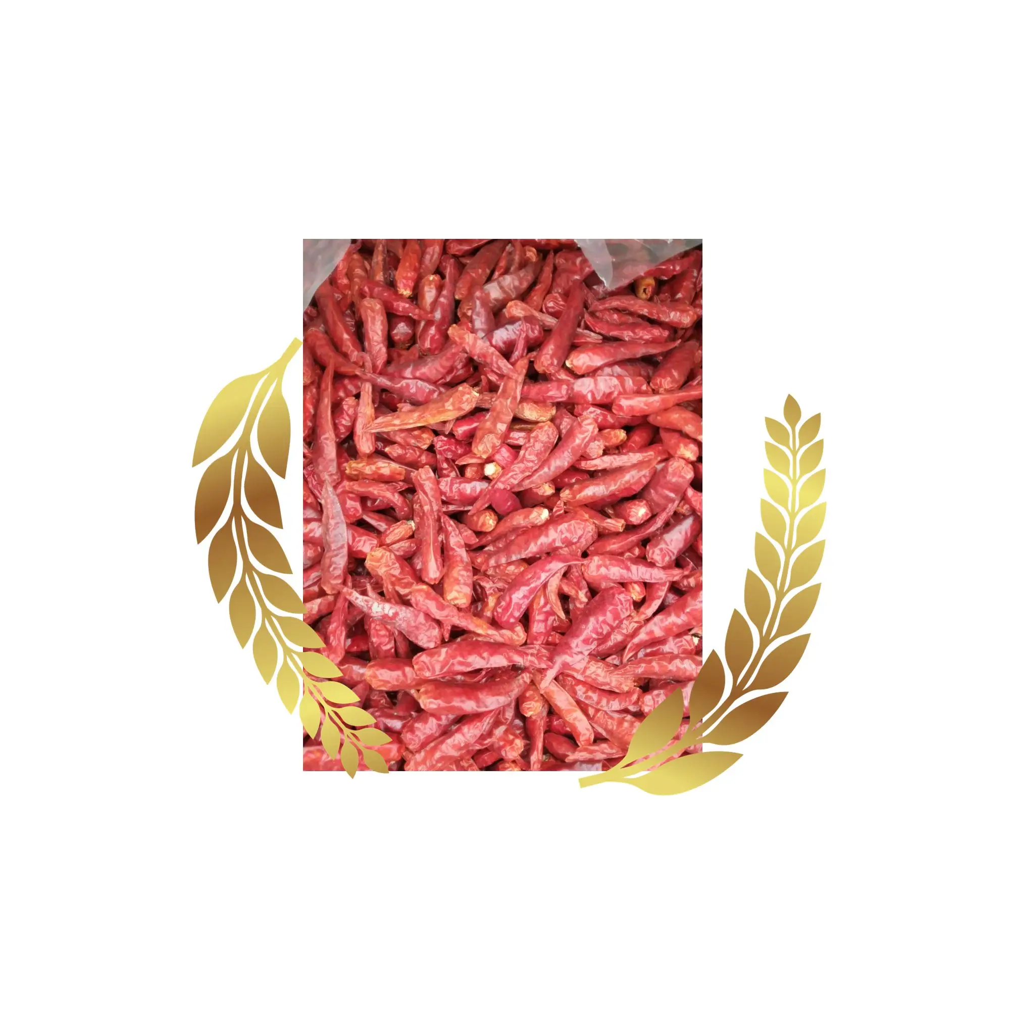 Viet Nam Dried Red Pepper AD Drying Process Organic Common Cultivation Type 10-13% Max. Moisture All year round