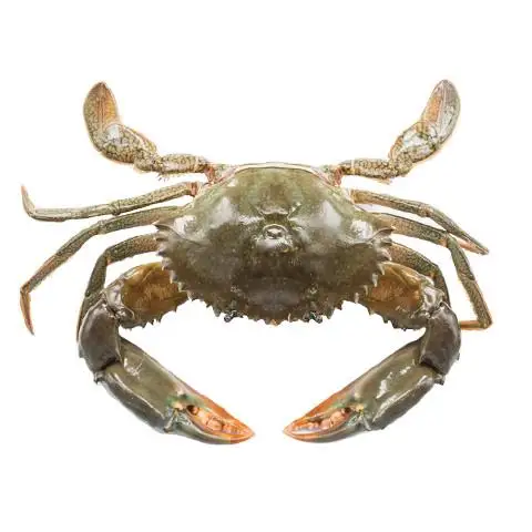 Hot Sale Live Mud Crabs, Blue Crabs, King Crabs /Live Seafood/ Frozen King Crab