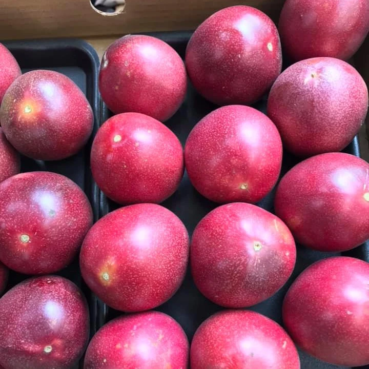 Passion Fruit Cultivation Wholesale Fresh Frozen Style Quality Cert Price Package Passion Fruit From Vietnam +84947900124