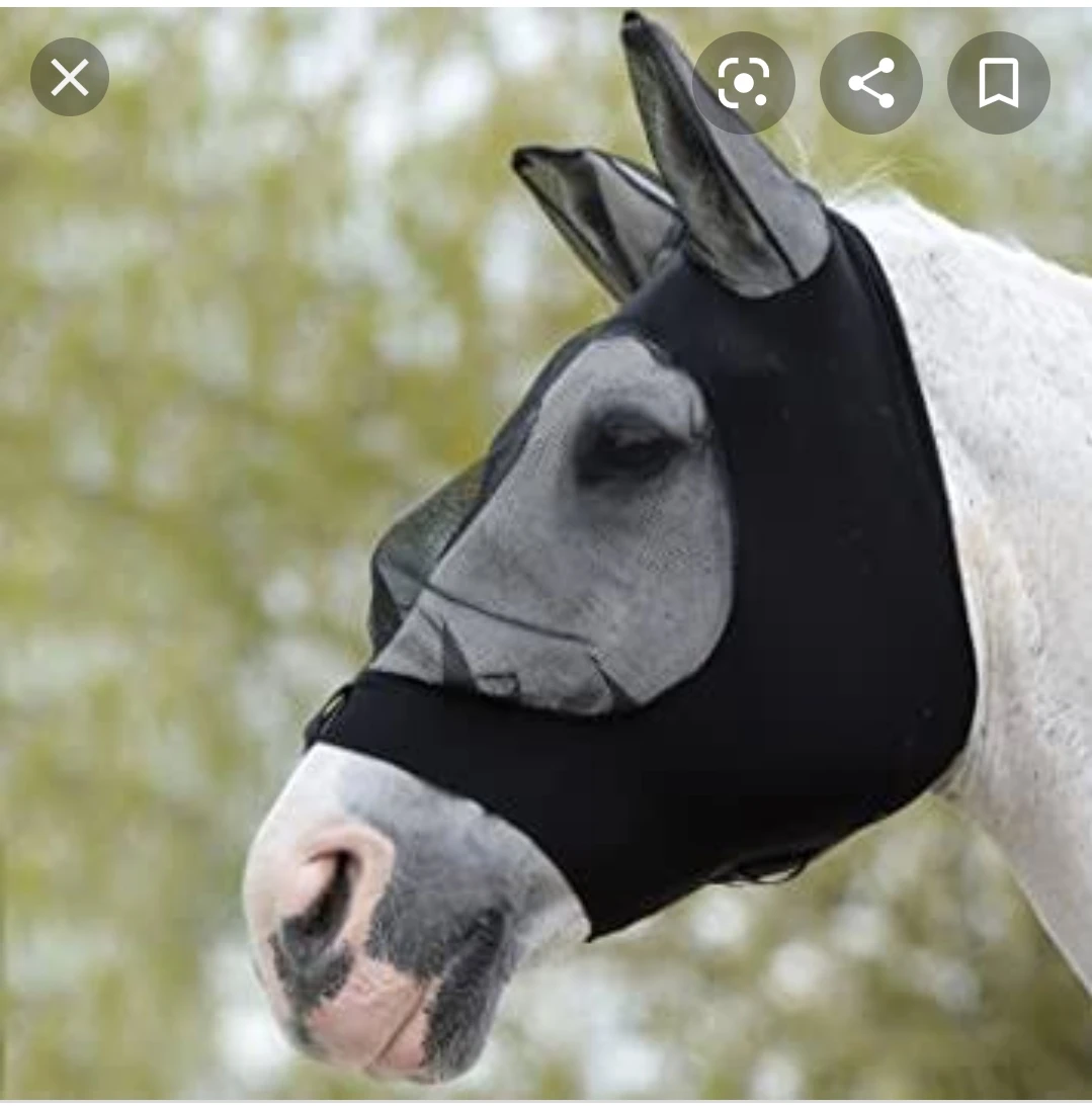 HORSE FLY MASK Sports & Entertainment>Outdoor Affordable Luxury Sports>Horse Racing>Other Horse Products