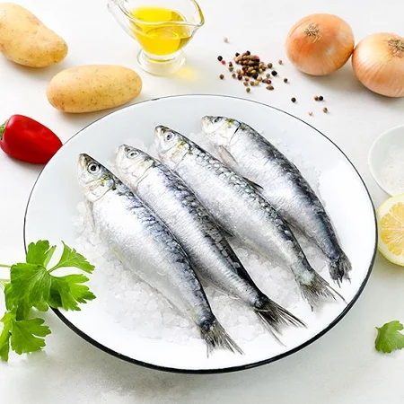 Fresh Sardine Fish pacific 300-500 W/R Frozen Fresh Sardine Fish in 10kg box