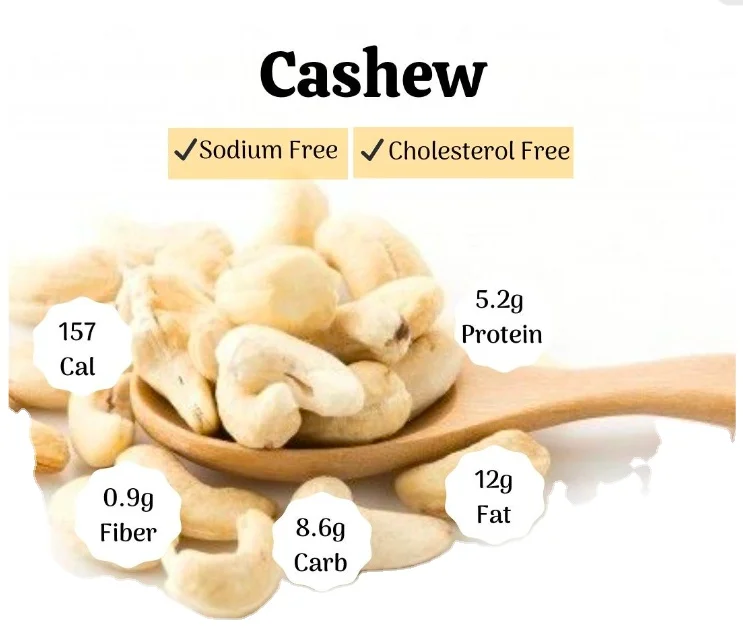 vietnam cashew price best cashews nuts in the world made in Viet Nam WW320 WW240