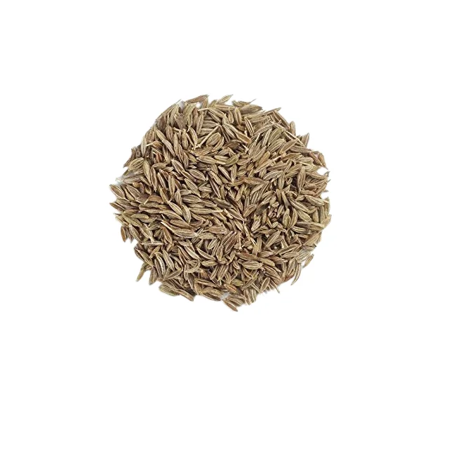 PURE AND NATURAL PREMIUM QUALITY CUMIN POWDER FROM GUJARAT INDIA AT VERY COMPETETIVE RATE BY MINDTREE INDUSTRIES PRIVAGE LIMITED