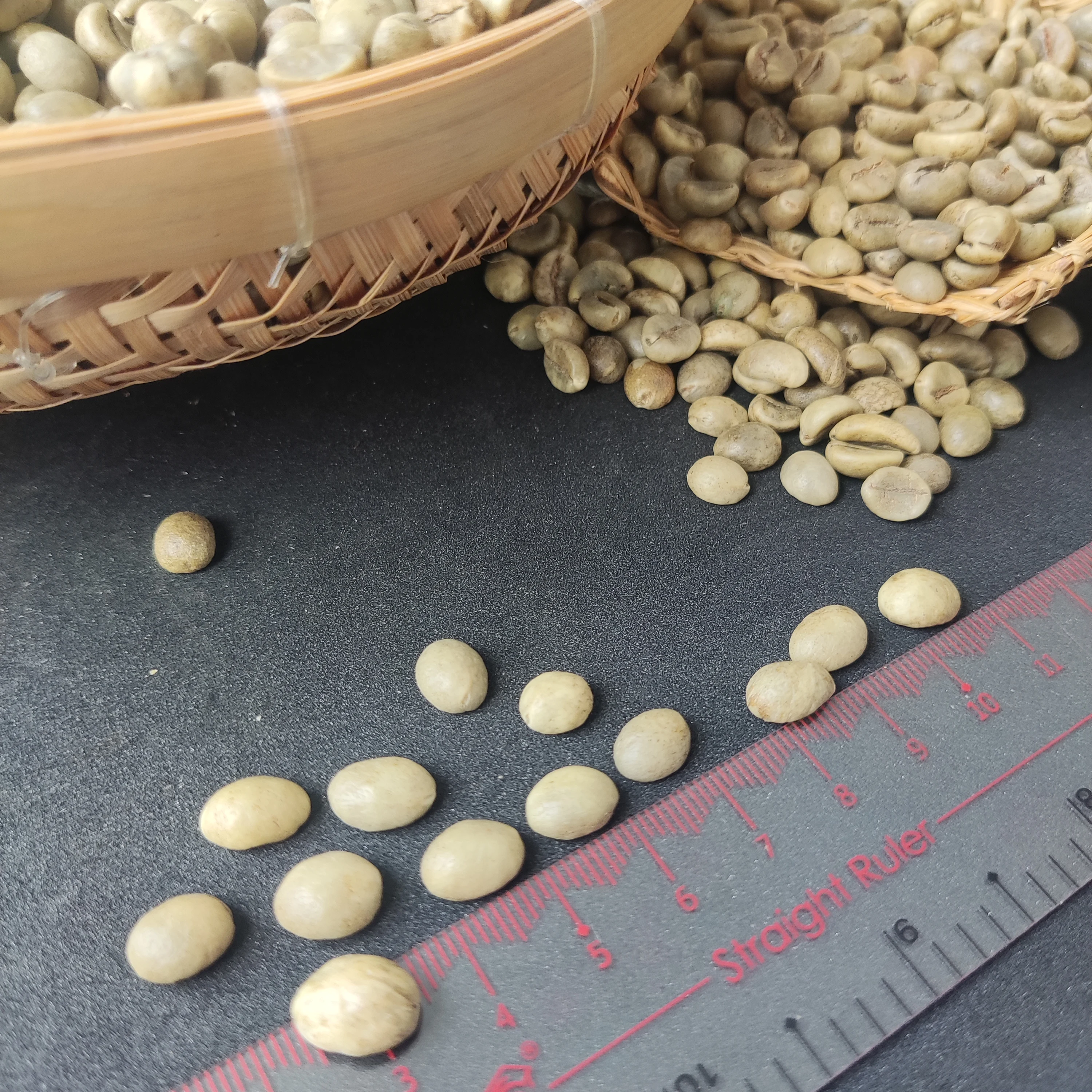 Green coffee beans at any size and grade from Dak Lak globally export (Contact: Ms. Quincy WA: 84 858080598)