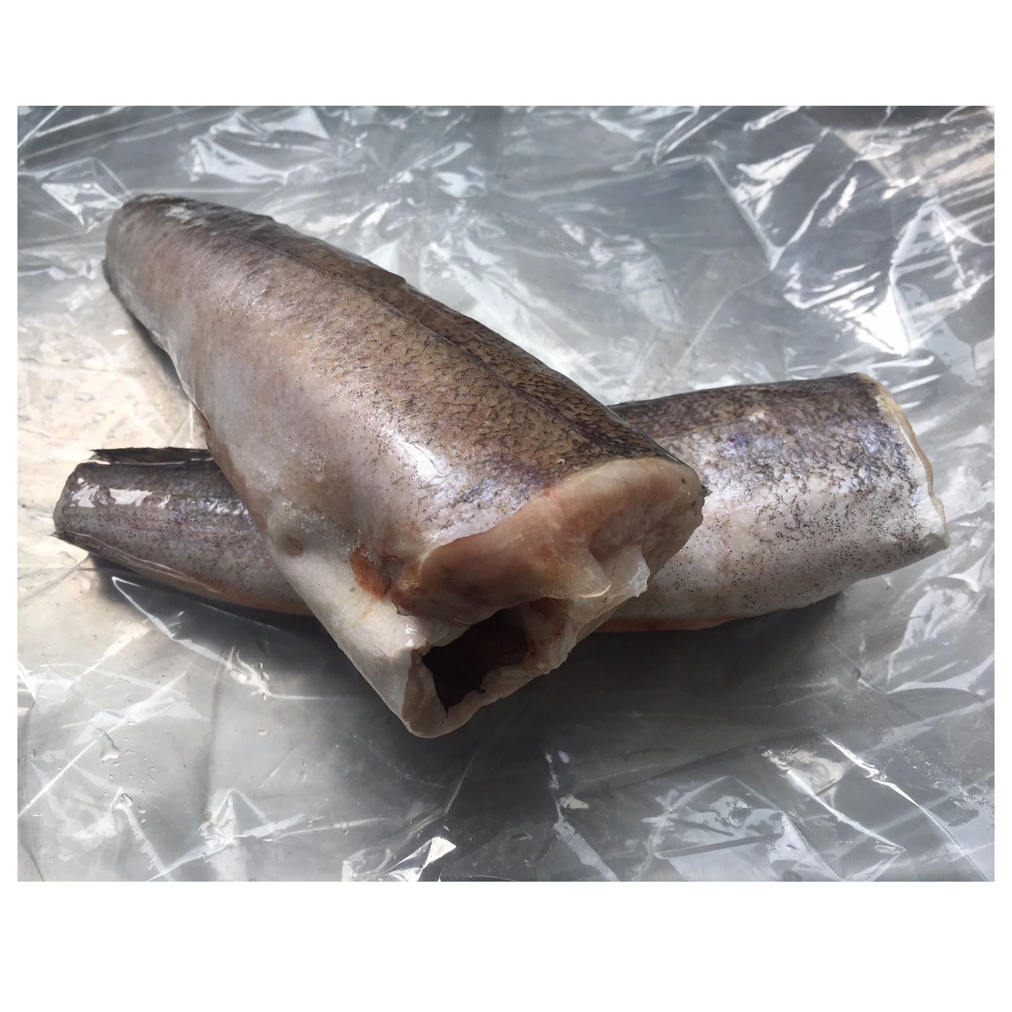 Premium Quality Fresh Frozen Hake Whole Fish and Hake Fillet Product