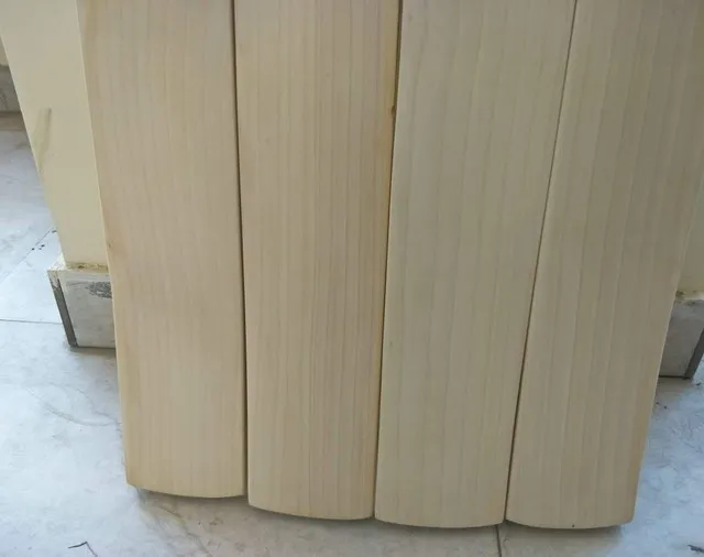 Grade 1 Professional Players Cricket Bat