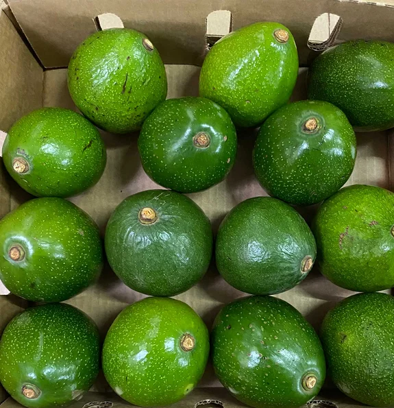 Pure Natural Fruit Spray Dried Avocado Fruit Powder Avocado Seed Powder Avocado Powder  at ug