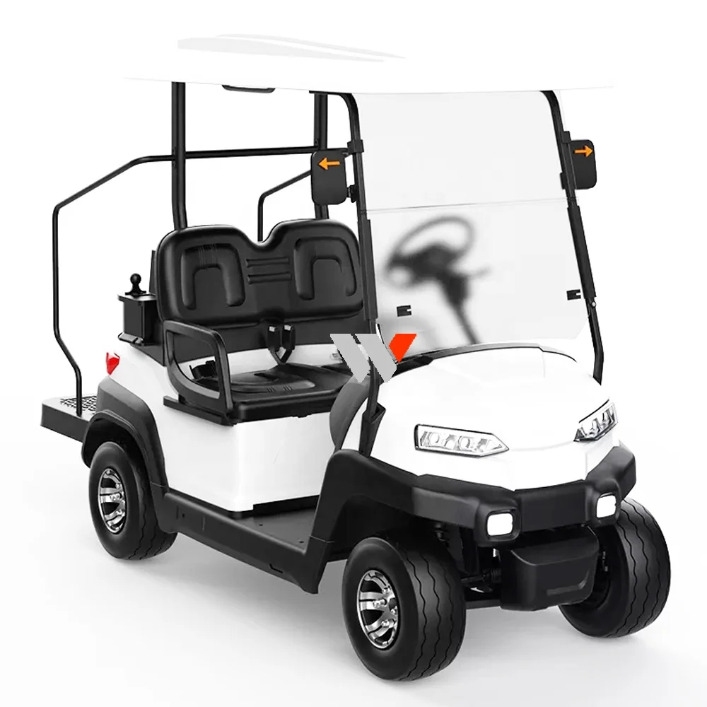 WFSEN S2 48v 4kw manufacturer mini 2 4 6 8 seater golf cart electric golf car with part