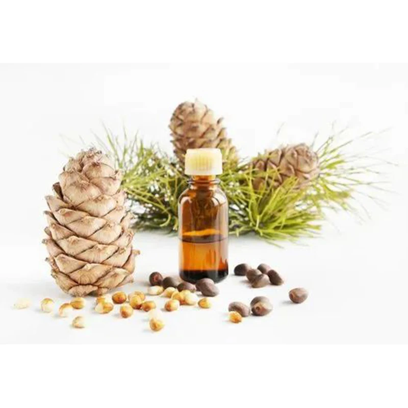 Good Quality Organic Pine Needles Oil Pinus Sylvestris Oil Bulk Supply of Pine Oil At Wholesale Price From India