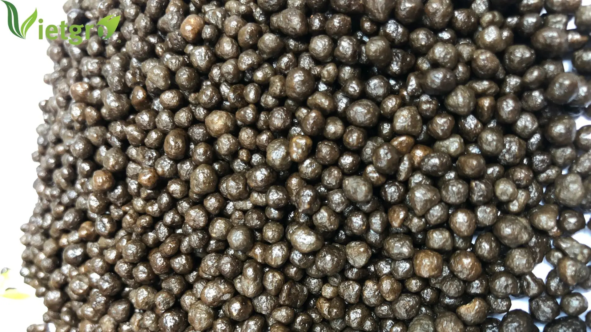 Wholesale Diammonium Phosphate DAP 18-46 fertilizer from Vietnamese Manufacturer - Brown Granular