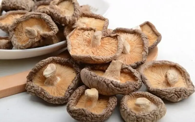 Premium Natural Dried Shiitake Mushroom Good Delicious Size 3-4 cm for Wholesale Cheap Price