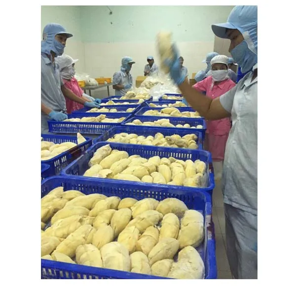 Organic Processed Vacuum Packed Vietnam Frozen Fruit Export Standard Frozen Durian For Multiple Purposes