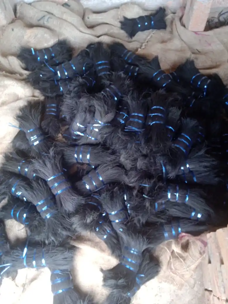 2022 hot product - Black Coir Bristle Fibre ( contact to +91-9895764873 )