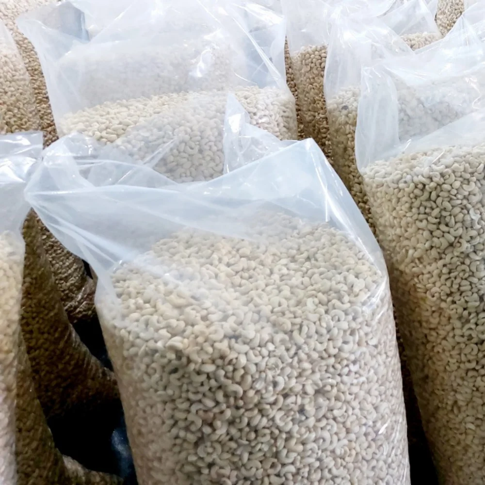 Wholesale Cheap Nuts & Kernels Cashew Nuts W320 Cashew Nuts Short Leadtime < 5 Days