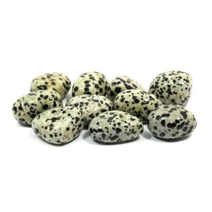 Natural Dalmatian Agate Tumbled Stone Healing and Meditation Crystal Gemstone Dalmatian Stone for Energy and Wellness