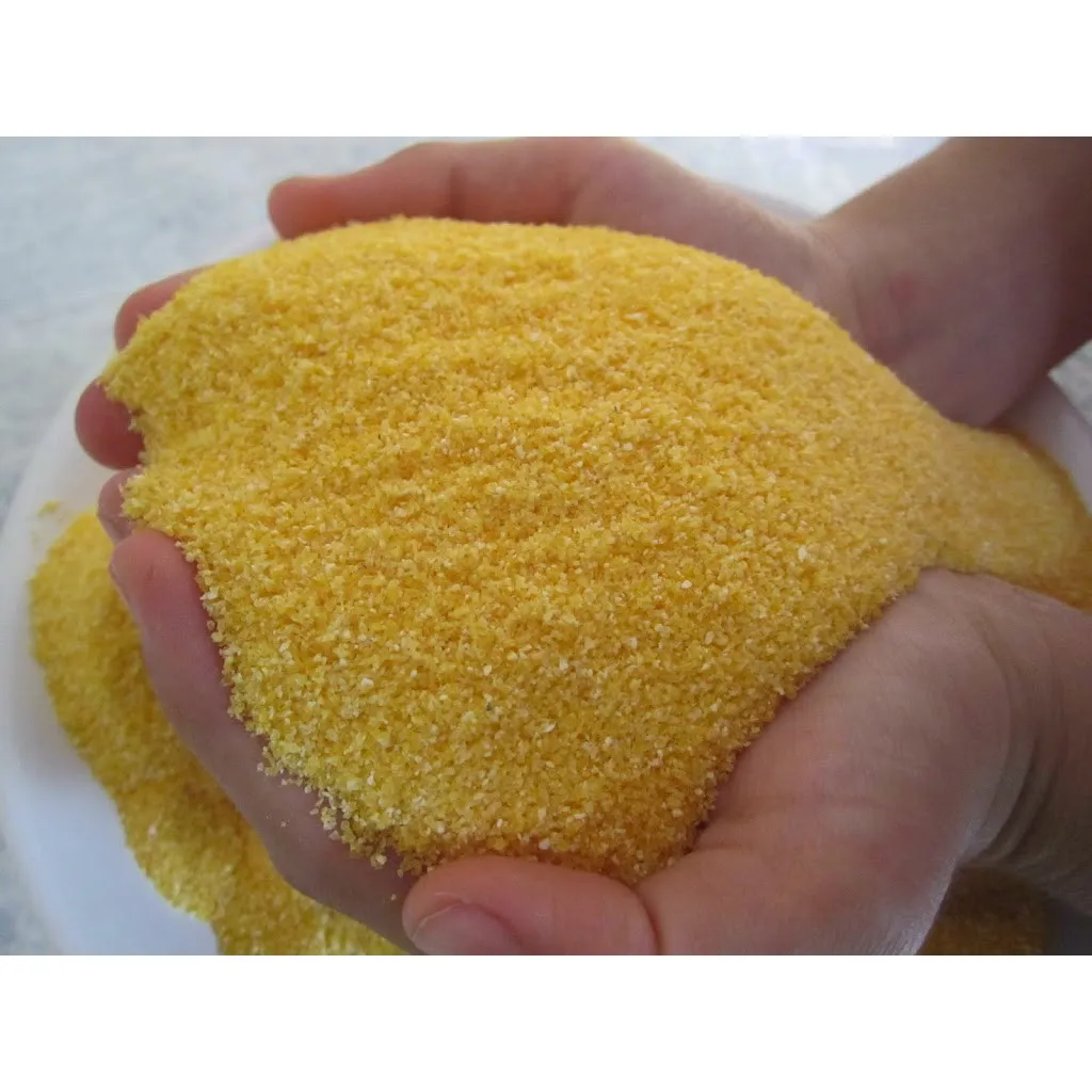 Corn gluten meal/ Yellow Corn Maize Grains for Animal Feed wholesale price