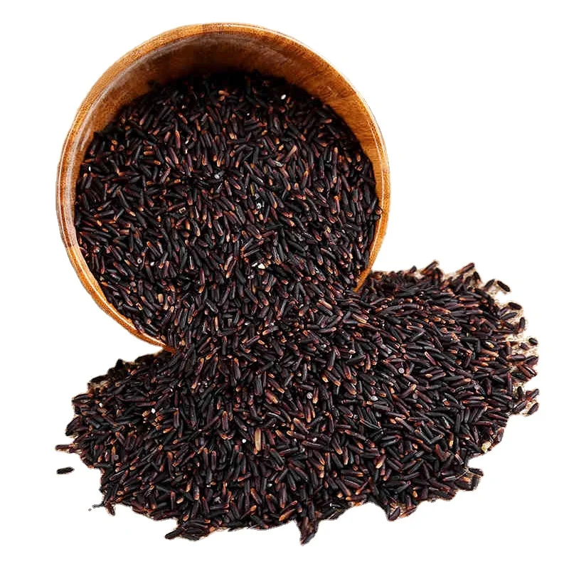 Sale Black Rice From Viet Nam New Crop  Food Rich Nutrition Organic Rice sticky rice  With Support Package