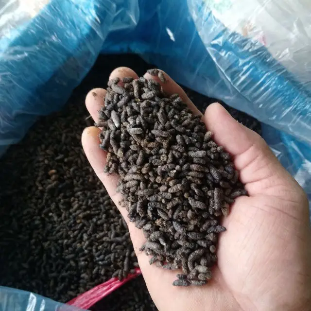 Оптовая продажа по заводской цене какашка летучей мыши высококачественное сельскохозяйственное животное хит продаж Вьетнам