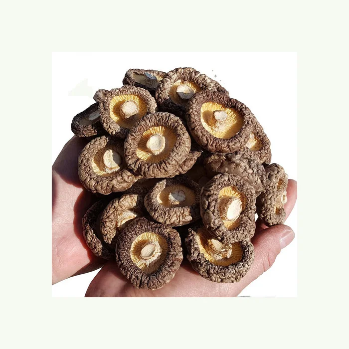 Wholesale Mushroom Prices for Dried Shiitake Cubes/Pieces/Slices