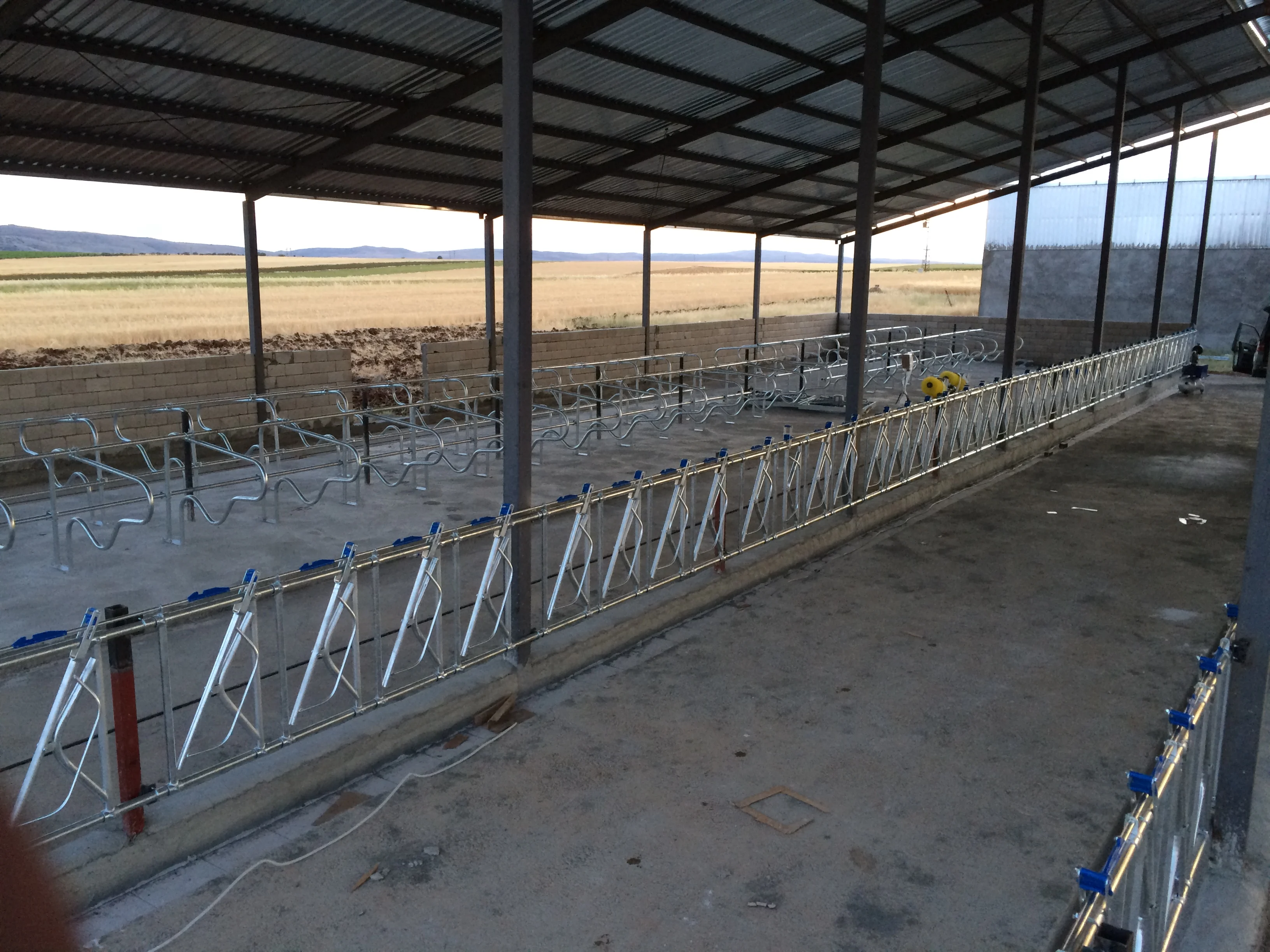 Cattle Feeding Systems Animal Feeder Lock System
