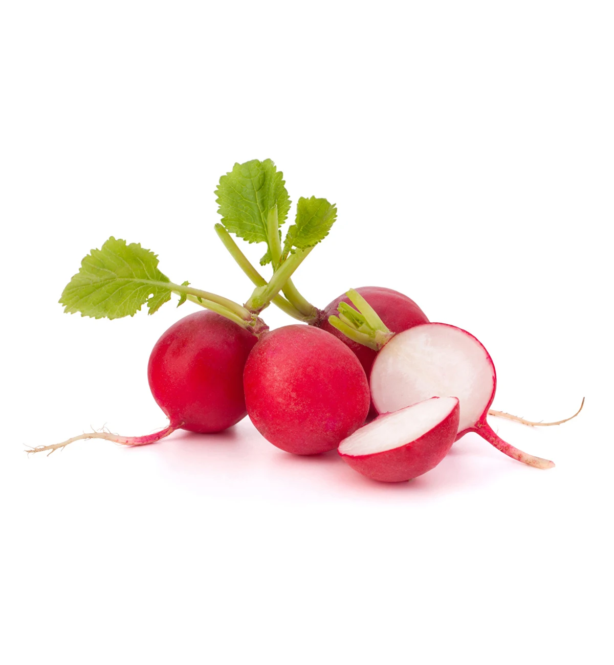 Non-GMO wholesale great taste food grade natural fresh vegetables from Uzbekistan fresh radish for food