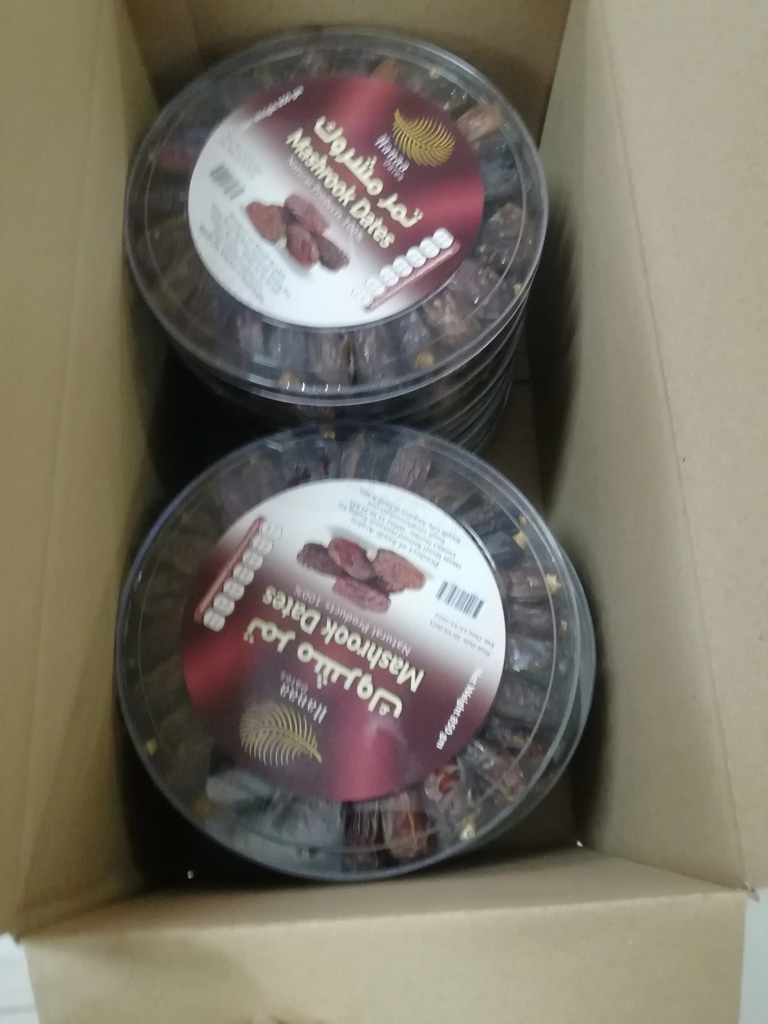 Fresh and Soft Mashrooq dates| 100% expert Saudi company for exporting dates to the global market