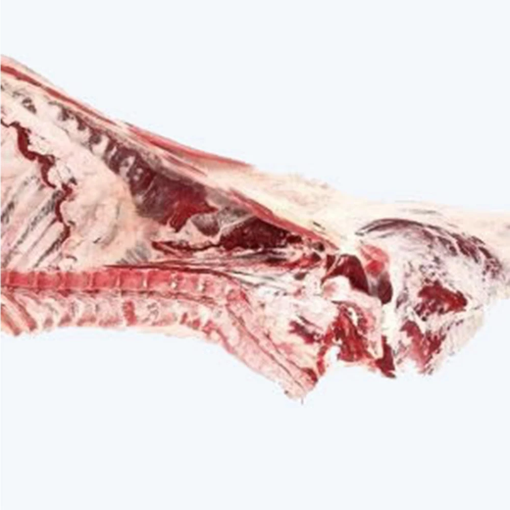 Wholesale Worldwide Export of High Quality Halal Frozen Beef Hinder-Quarter at Least Price