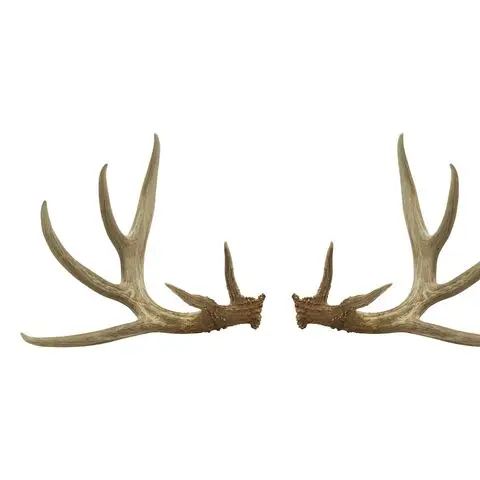 Cheap-Deer-Antlers (5).jpg