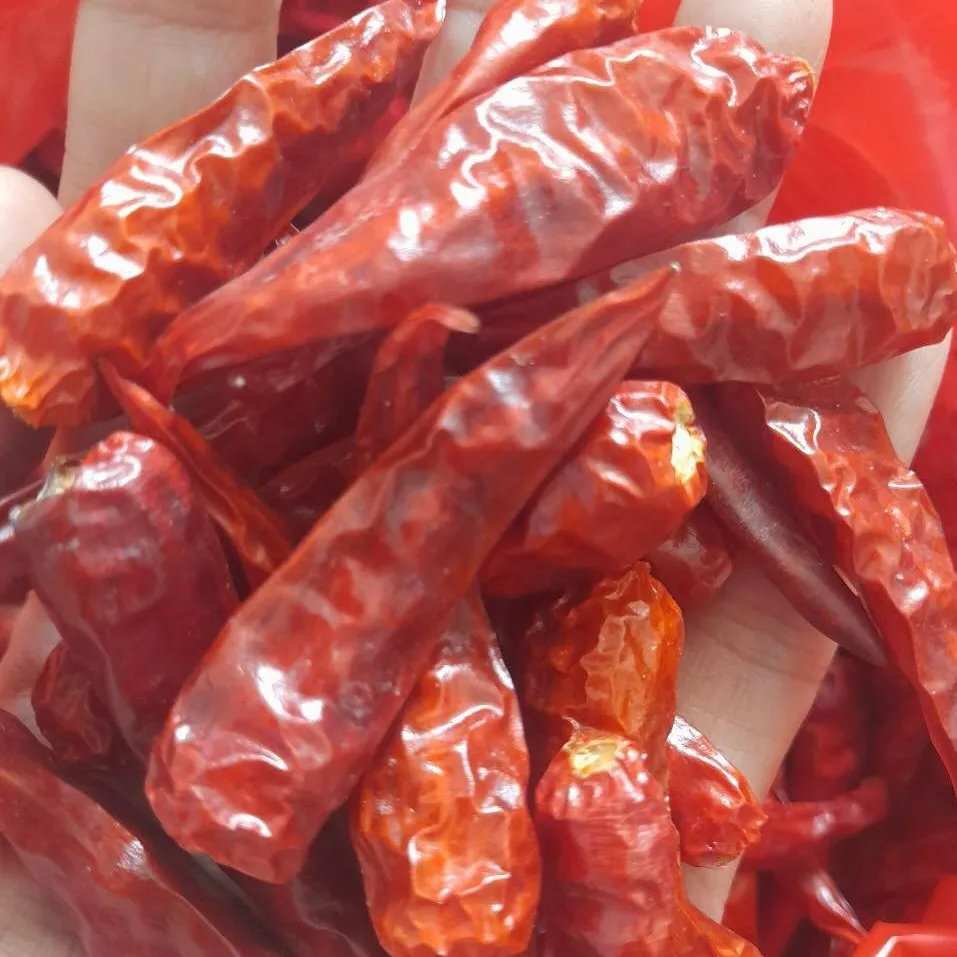 Красный перец чили сушеные специи и травы продукты по самой низкой цене Вьетнам оптом горячий пряный экспорт
