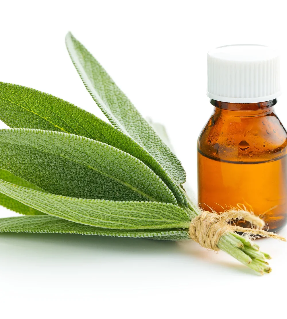 Premium Culinary Herb Extract Essential Sage Oil for Aromatherapy and Diffuser at Wholesale Prices