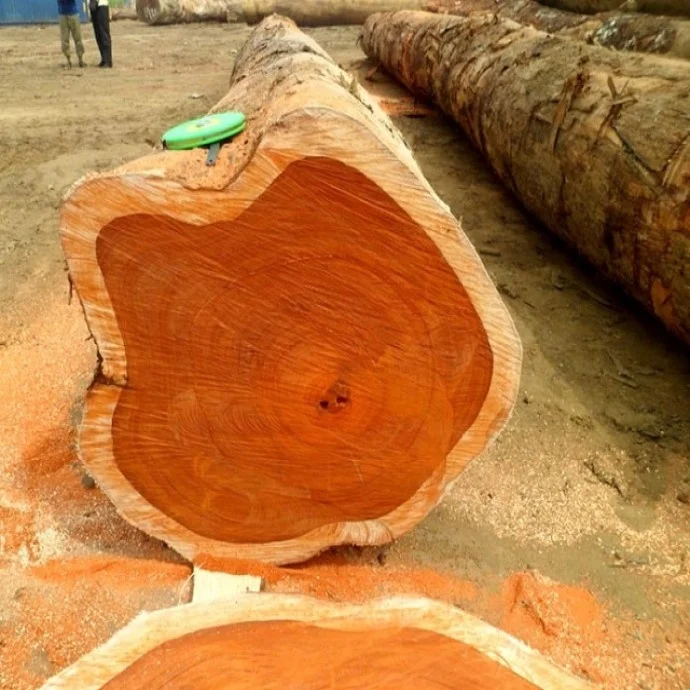 wood logs timber teak wood logs sawn timber African hard wood timber birch white pine logs