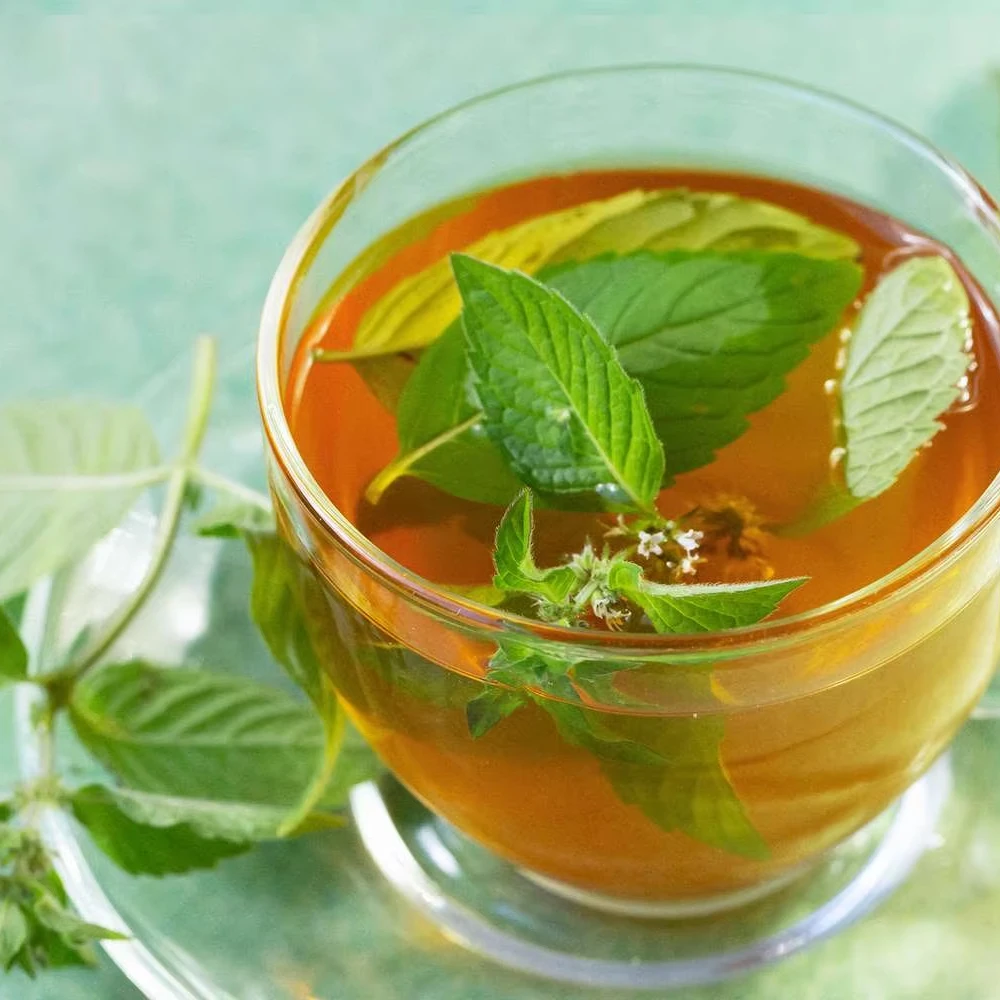 Mentha x Piperita (перечная мята TBC) высококачественное сырье 99% чистоты для потребления человеком оптом Лидер продаж