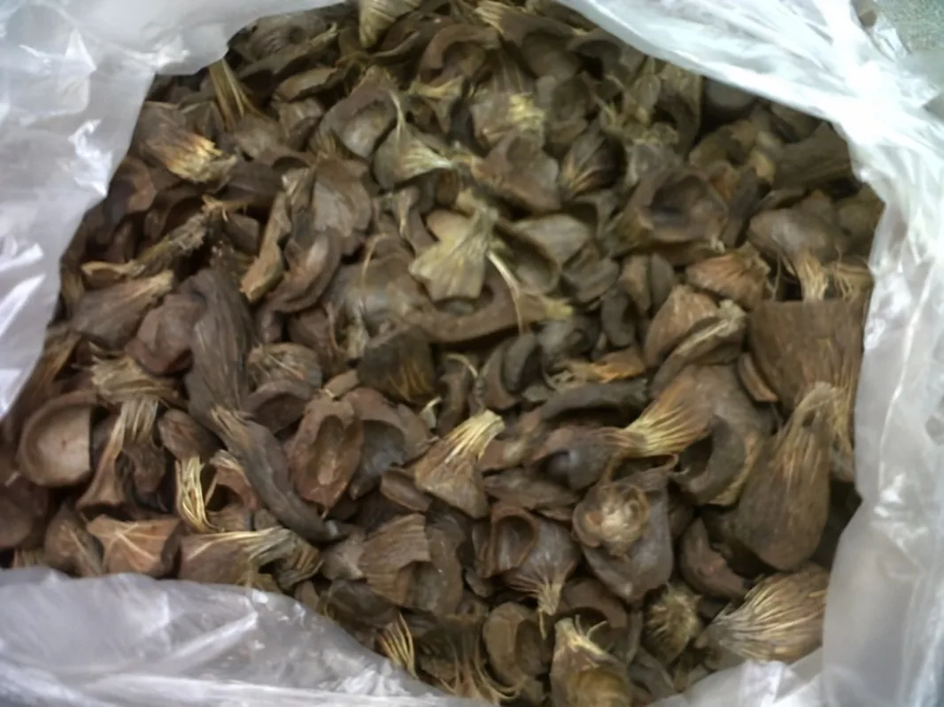 Quality Palm Kernel Shell / Palm Kernel waste / PKS for Sale discount sales