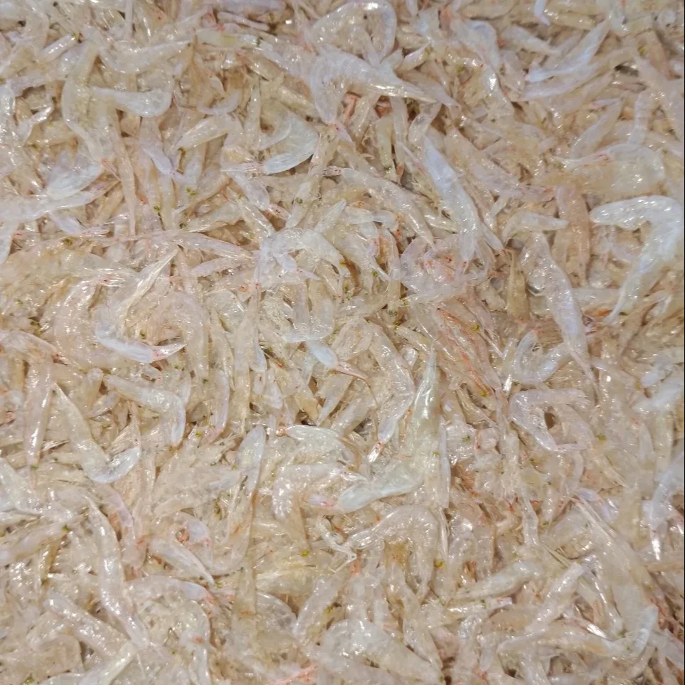 Shrimp Sizes Manufacturer Small Type Weight Variety Snack Use No Food Preservatives Dried Baby Shrimp Vietnam