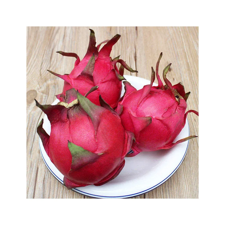 Dragon Fruit/ Fresh Dragon Fruit - 100% Organic Fruit From VietNam  Wholesale
