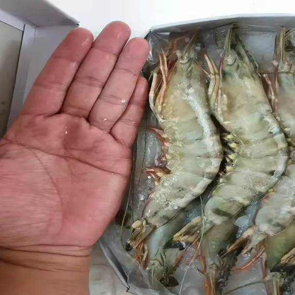 Замороженные целые гигантские королевские креветки