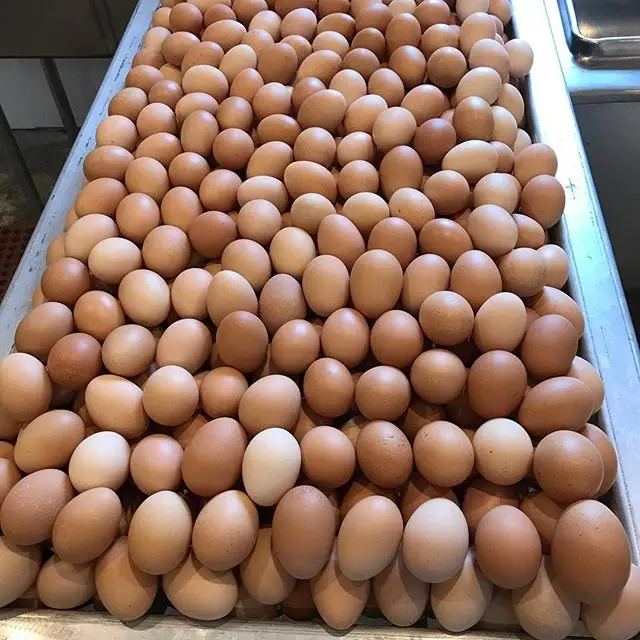 Свежие коричневые куриные яйца