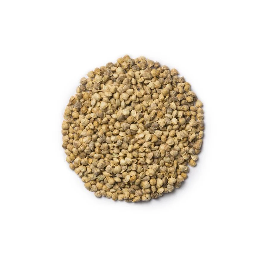 Hot Sale single row maize cabbage bean spinach seeds