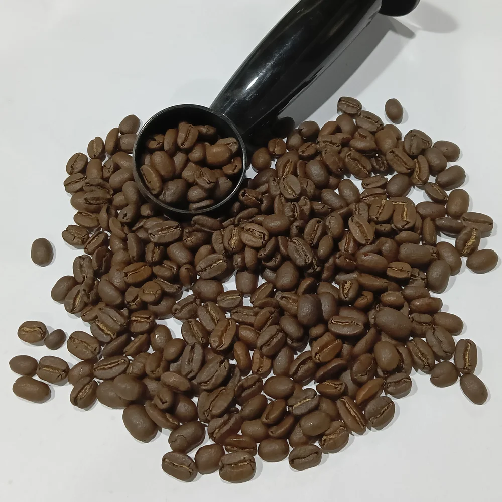 Premium Quality Whole Bean Sumatra Civet Coffee Specialty Grade Roasted for Connoisseurs including certificate