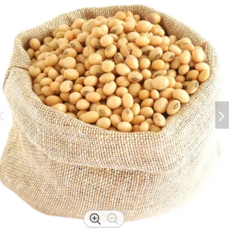 Best Quality Natural and Non- GMO Yellow Soybean Seeds / Soybean / Soya beans High Quality Canada Origin Soybeans