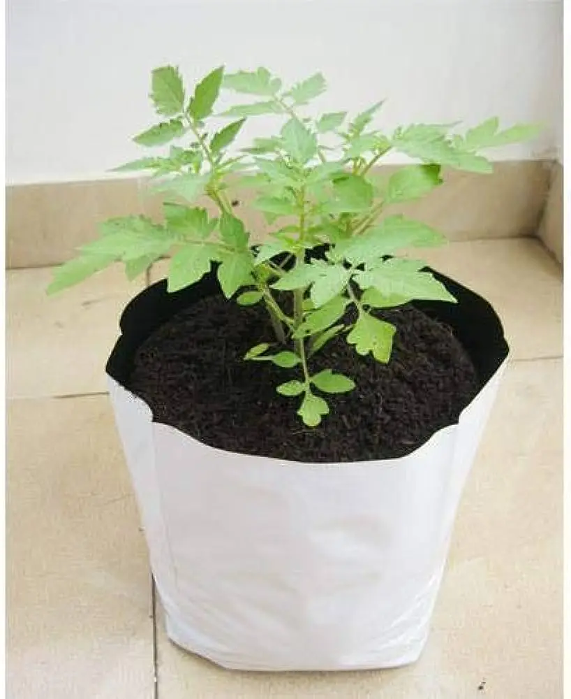 Urban Farming At Home With Cocopeat Grow Bags / Pertanian Bandar Di Rumah /Mestske zemedelstvi doma